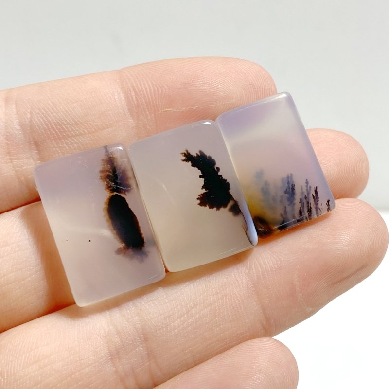107 Pieces Natural Rare Scenic Dendritic Agate Stone - Wholesale Crystals
