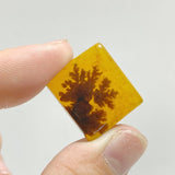107 Pieces Natural Rare Scenic Dendritic Agate Stone - Wholesale Crystals