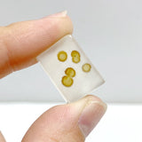 107 Pieces Natural Rare Scenic Dendritic Agate Stone - Wholesale Crystals