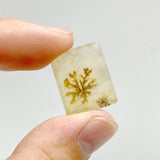 107 Pieces Natural Rare Scenic Dendritic Agate Stone - Wholesale Crystals