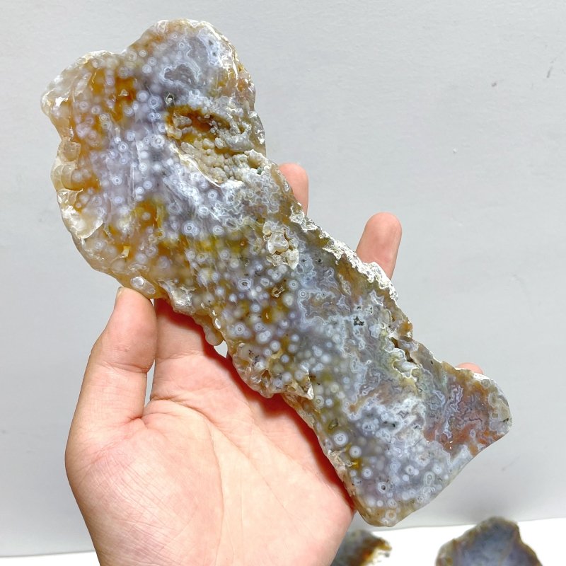 11 Pieces 6th Vein Ocean Jasper Slab - Wholesale Crystals