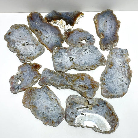 11 Pieces 6th Vein Ocean Jasper Slab - Wholesale Crystals