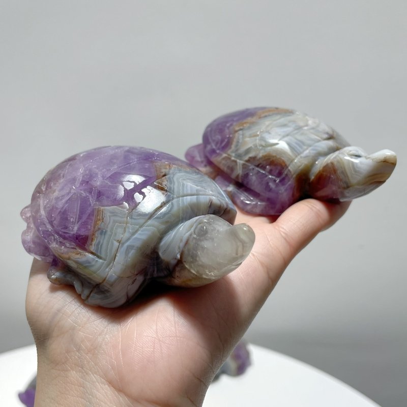 11 Pieces Amethyst Mixed Agate Turtle Carving - Wholesale Crystals