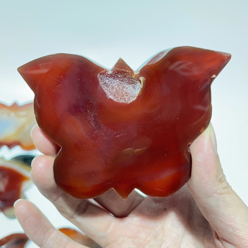 11 Pieces Carnelian Geode Druzy Butterfly Carving -Wholesale Crystals