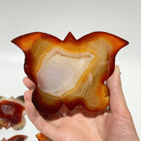 11 Pieces Carnelian Geode Druzy Butterfly Carving -Wholesale Crystals