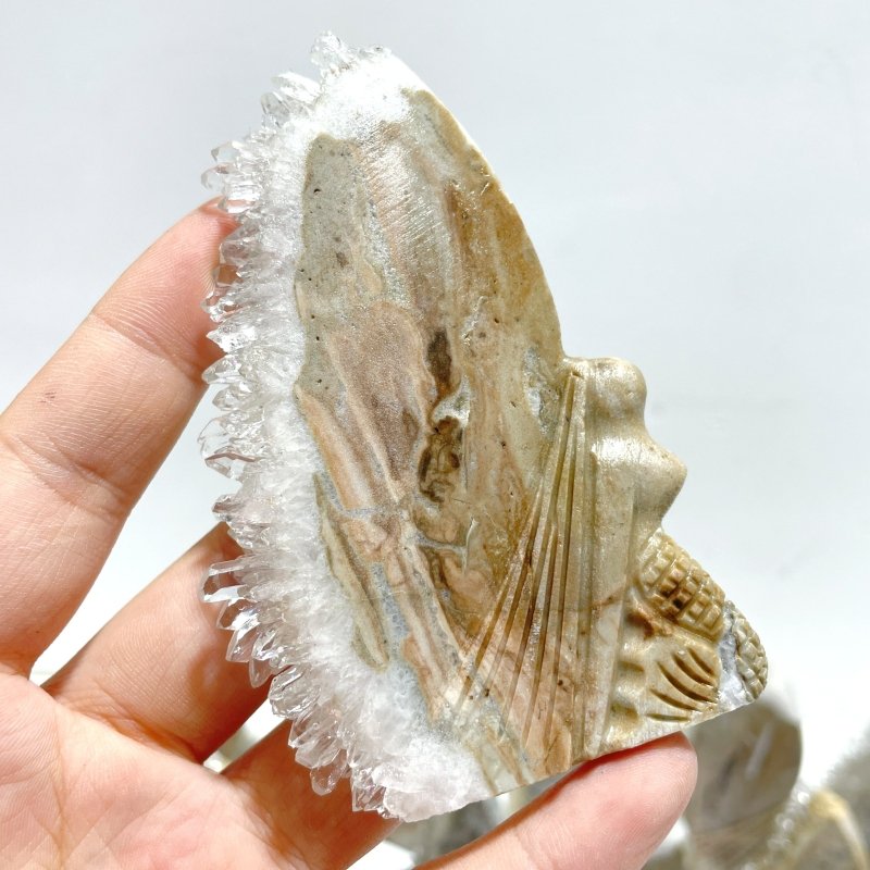 11 Pieces Clear Quartz Cluster Butterfly Fairy Carving - Wholesale Crystals