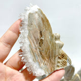 11 Pieces Clear Quartz Cluster Butterfly Fairy Carving - Wholesale Crystals