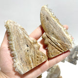 11 Pieces Clear Quartz Cluster Butterfly Fairy Carving - Wholesale Crystals