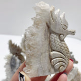 11 Pieces Clear Quartz Cluster Seahorse Carving - Wholesale Crystals