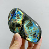 11 Pieces Large Beautiful Polished Labradorite Free Form -Wholesale Crystals