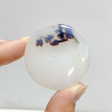 11 Pieces Natural Rare Scenic Dendritic Agate Stone -Wholesale Crystals