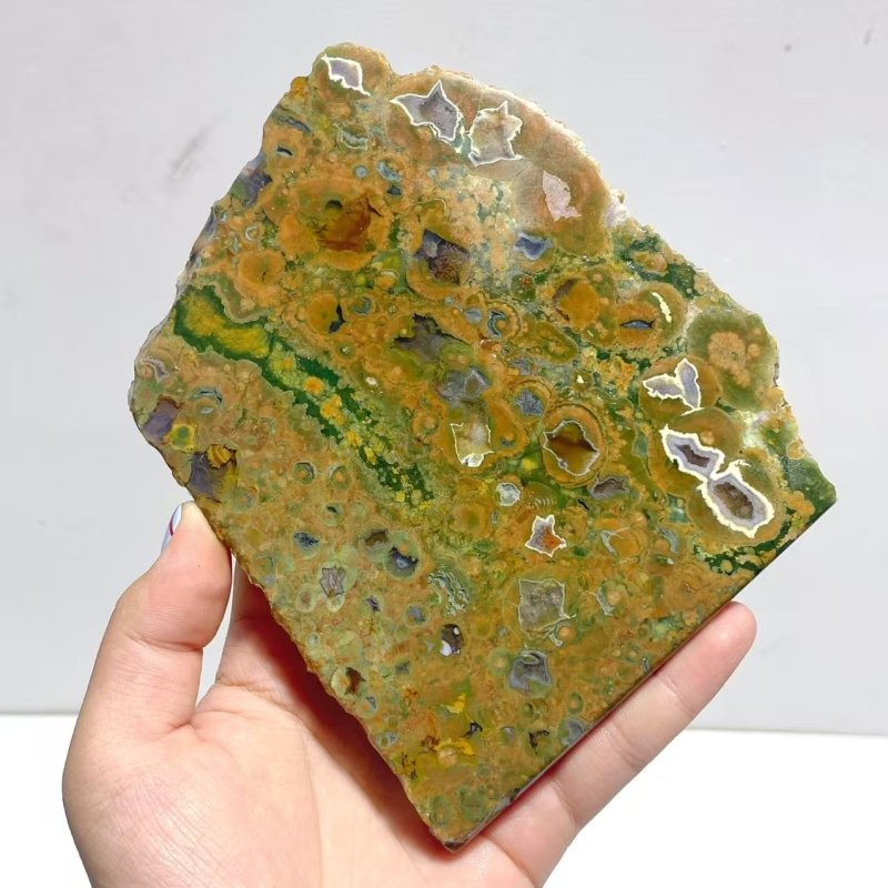 11 Pieces Peacock Eye Rain Forest Jasper Slab - Wholesale Crystals