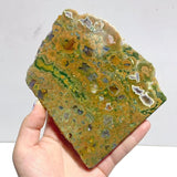 11 Pieces Peacock Eye Rain Forest Jasper Slab - Wholesale Crystals