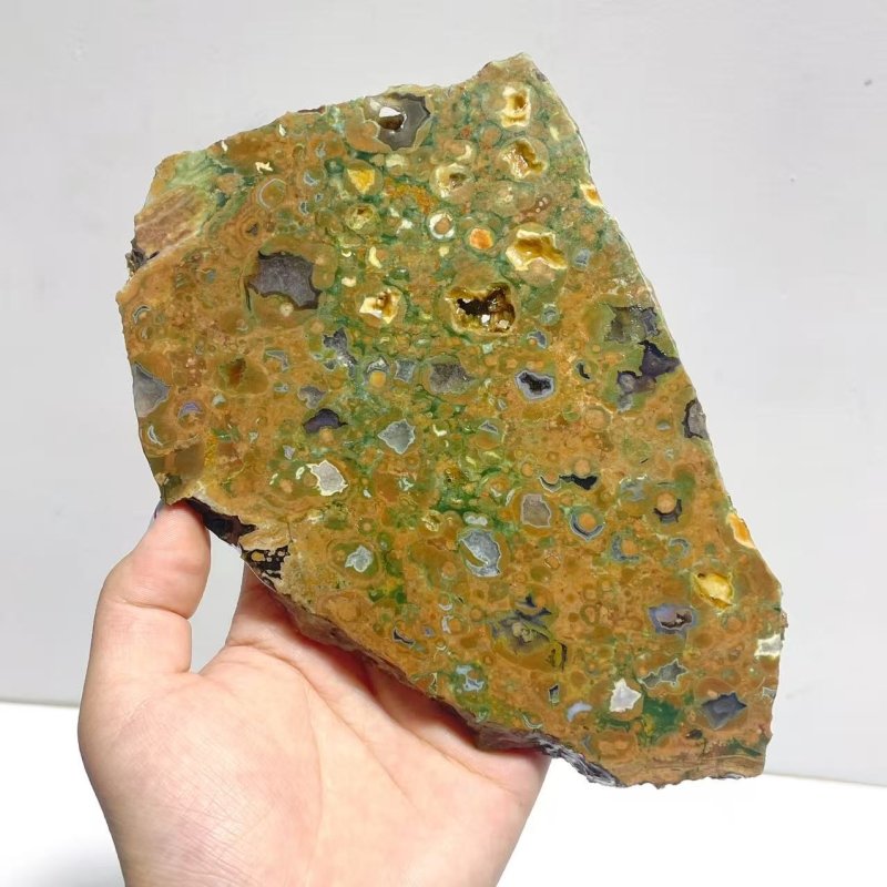 11 Pieces Peacock Eye Rain Forest Jasper Slab - Wholesale Crystals