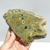 11 Pieces Peacock Eye Rain Forest Jasper Slab - Wholesale Crystals