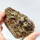 11 Pieces Raw Garnet Specimen For Collection - Wholesale Crystals