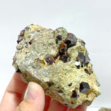 11 Pieces Raw Garnet Specimen For Collection - Wholesale Crystals