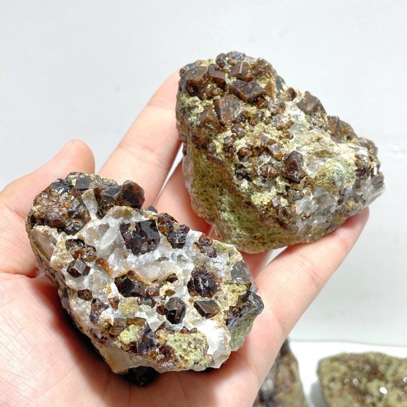 11 Pieces Raw Garnet Specimen For Collection - Wholesale Crystals