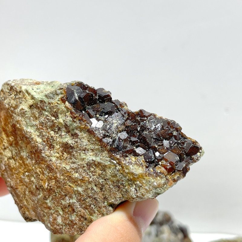 11 Pieces Raw Garnet Specimen For Collection - Wholesale Crystals
