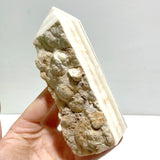 11 Pieces Stripe Yellow Calcite Points Raw Side - Wholesale Crystals