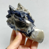 11 Pieces Volcano Agate Dragon Head Carving Closeout (UV-Reactive) -Wholesale Crystals