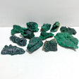 12 Pieces Beautiful High Quality Raw Malachite Specimen - Wholesale Crystals