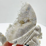 12 Pieces Clear Quartz Cluster Mermaid Carving - Wholesale Crystals