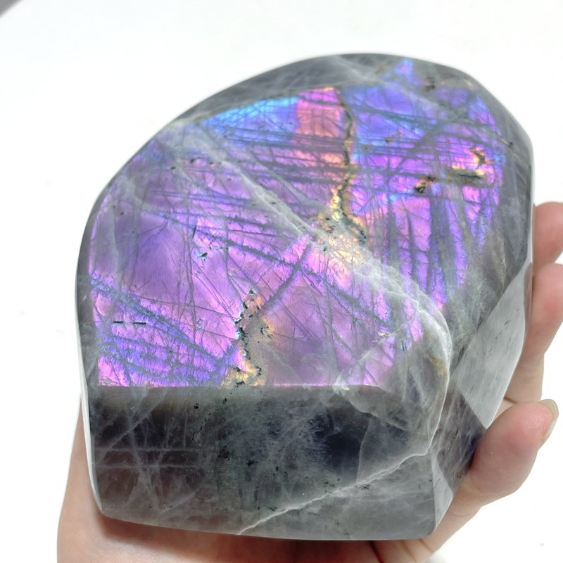 12 Pieces Large Purple Labradorite Free Form - Wholesale Crystals