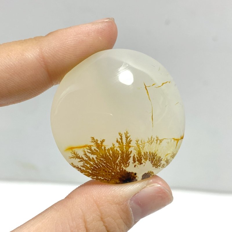 12 Pieces Natural Rare Scenic Dendritic Agate Cabochon - Wholesale Crystals