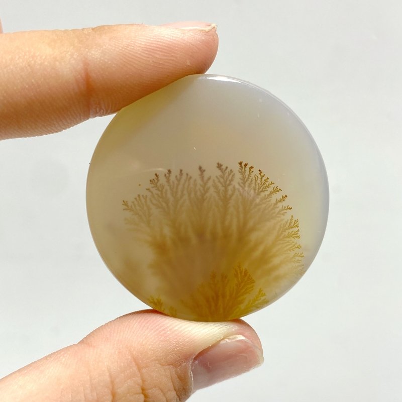 12 Pieces Natural Rare Scenic Dendritic Agate Cabochon - Wholesale Crystals