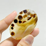 12 Pieces Natural Rare Scenic Dendritic Agate Stone - Wholesale Crystals