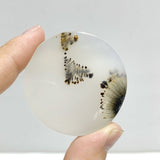 12 Pieces Natural Rare Scenic Dendritic Agate Stone - Wholesale Crystals