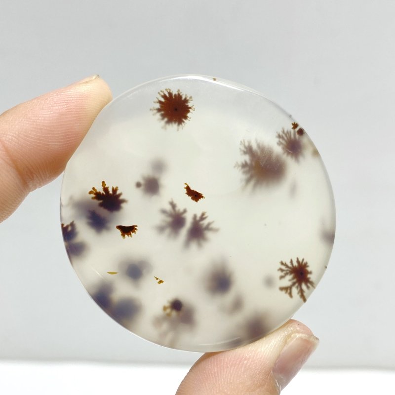 12 Pieces Natural Rare Scenic Dendritic Agate Stone - Wholesale Crystals
