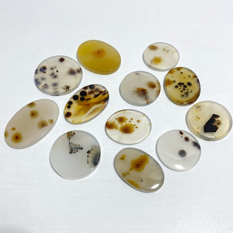 12 Pieces Natural Rare Scenic Dendritic Agate Stone - Wholesale Crystals