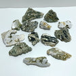 13 Pieces 8th Vein Ocean Jasper Free Form Mixed Size A02 - Wholesale Crystals