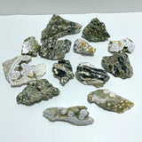 13 Pieces 8th Vein Ocean Jasper Free Form Mixed Size A02 - Wholesale Crystals
