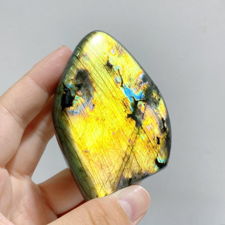 13 Pieces Beautiful Polished Yellow Blue Labradorite Free Form -Wholesale Crystals