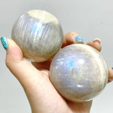 13 Pieces Blue Moonstone Spheres - Wholesale Crystals