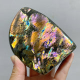 13 Pieces Colorful Labradorite Free Form -Wholesale Crystals