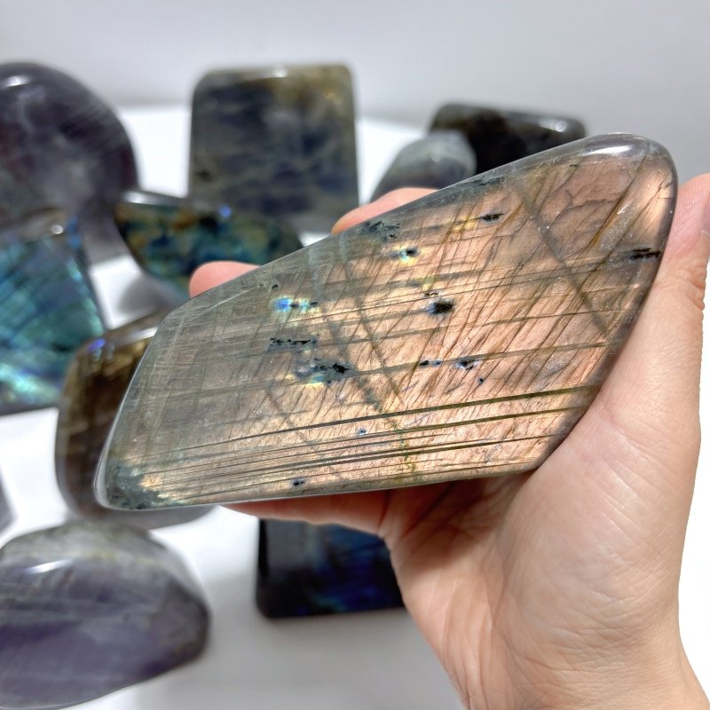 13 Pieces High Quality Labradorite Free Form - Wholesale Crystals