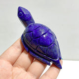 13 Pieces Lapis Lazuli Sea Turtles Carving - Wholesale Crystals