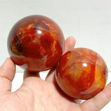 13 Pieces Large Carnelian Stone Spheres - Wholesale Crystals