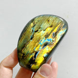 13 Pieces Polished Labradorite Free Form -Wholesale Crystals