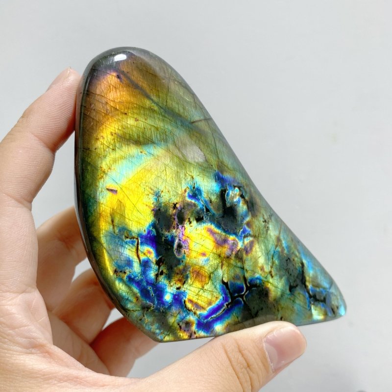 14 Pieces Beautiful Yellow Blue Labradorite Free Form -Wholesale Crystals
