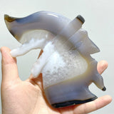 14 Pieces Geode Druzy Agate Geode Wizard Carving - Wholesale Crystals