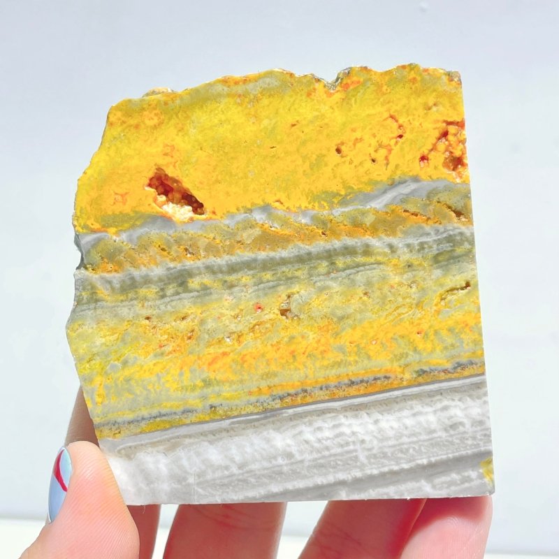 15 Pieces Beautiful Bumble Bee Jasper Polished Home Decor - Wholesale Crystals