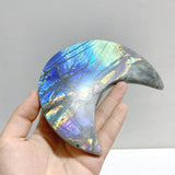 15 Pieces Beautiful Labradorite Moon Carving - Wholesale Crystals