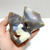 16 Pieces Black Orca Agate Flame Carving 3 - Wholesale Crystals