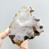 16 Pieces Sakura Flower Agate Slabs -Wholesale Crystals