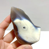 18 Pieces Black Orca Agate Flame Carving 4 - Wholesale Crystals